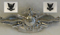 CORPSMAN INSIGNIA